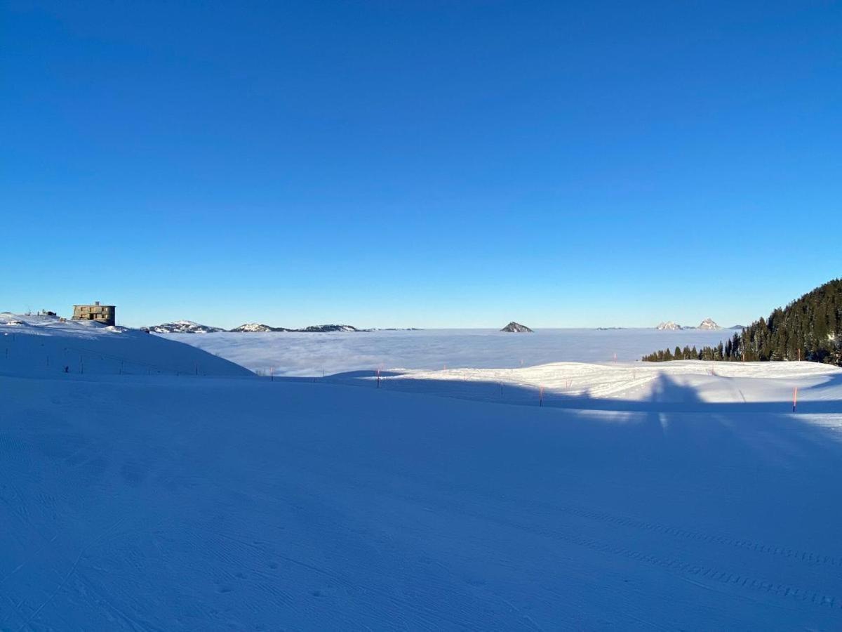 Appartamento Solohike Mountainview Seelisberg Esterno foto