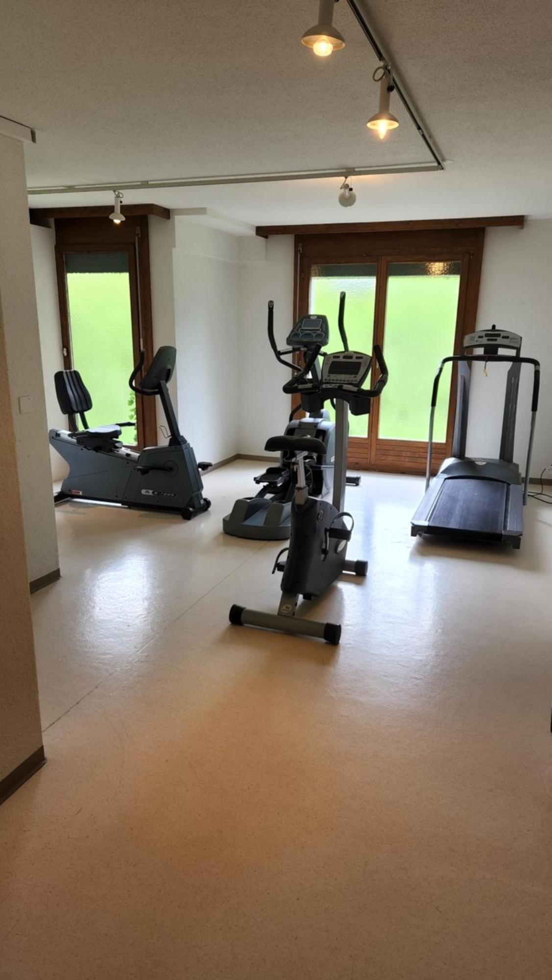 Appartamento Solohike Mountainview Seelisberg Esterno foto